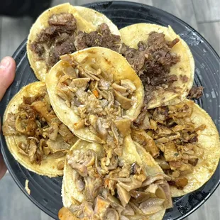 Lengua