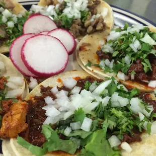 Steak, Lingua, Birria, Carnitas, Adovada Tacos