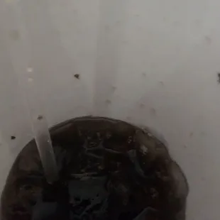 My soda was full of them! Made me sick!!!