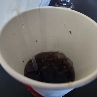 Dead bugs in my soda