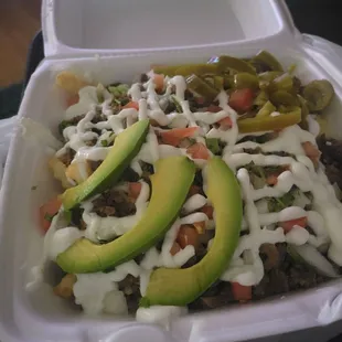 Carne Asada fries