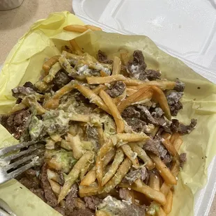 Large Carne Asada Fries