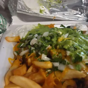 Carne asada fries