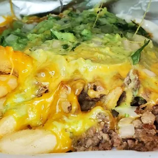 Carne Asada fries