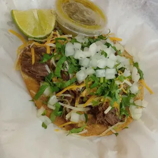 Barbacoa taco w cheese and cilantro and onion