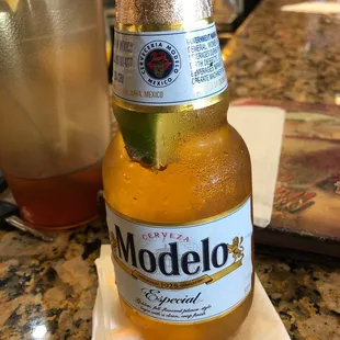 ice cold Modelo