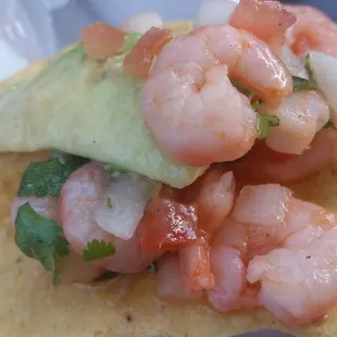 Shrimp Ceviche Tostada