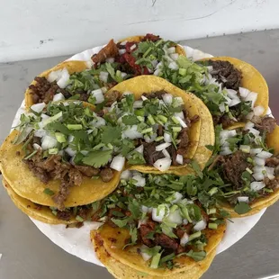 Tacos; fajita, suadero, cabeza, pastor, and campechanos