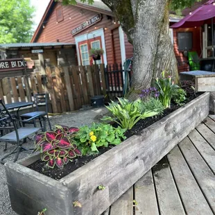 The back patio is so thoughtfully done.