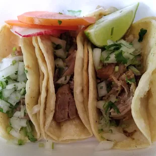 Carnitas tacos