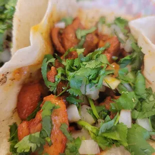 Pollo Taco