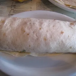 Carne Asada Burrito