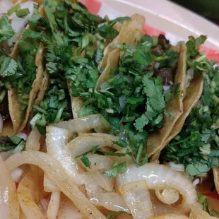 Tacos are meaty and have lots of cilantro.