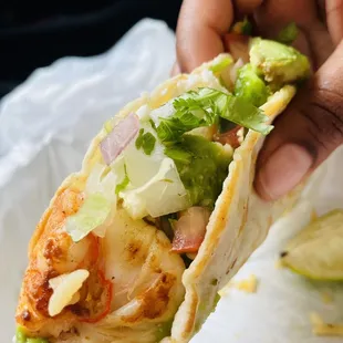 Shrimp Taco close up