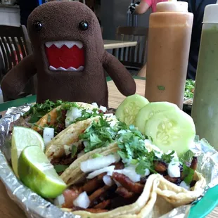 Amazing tacos. Go for the chorizo, cecina, al pastor or cabeza!