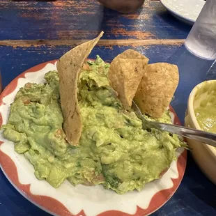 Guacamole (One Size Only)