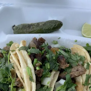 Tacos
