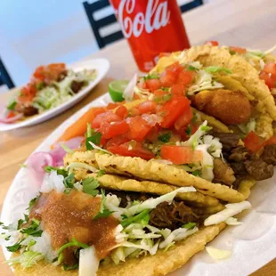 Tacos (barbacoa, carne asada, fried fish, chicken)