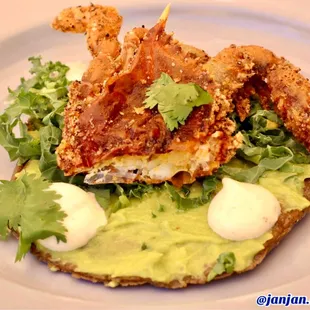 Soft shell crab tostada. Yummy. Fried perfectly. Meaty yet delicate. :)