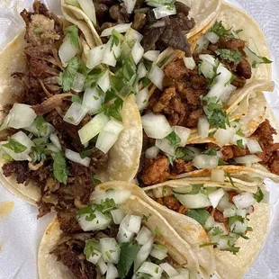 Beef, pollo, pastor, carnitas Tacos