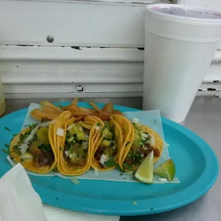 Two suadero and two tripa tacos, green salsa and a jamaica agua fresca.