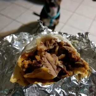 Inside of the asada burrito! Even my dog knows it's delicious!