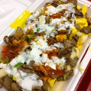 (02/13/17) Asada Fries