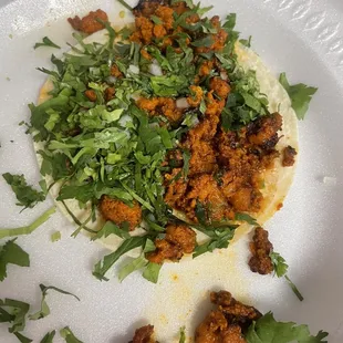 Chorizo taco (with fresh Cilantro!)