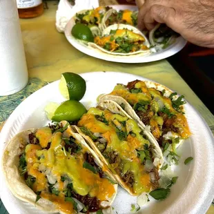 shredded beef, barbacoa, al pastor with complimentary salsa