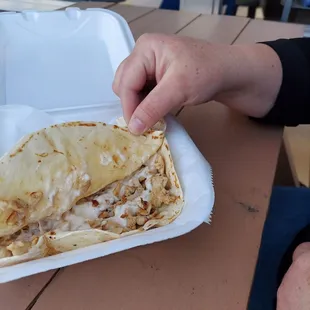 Chicken quesidilla