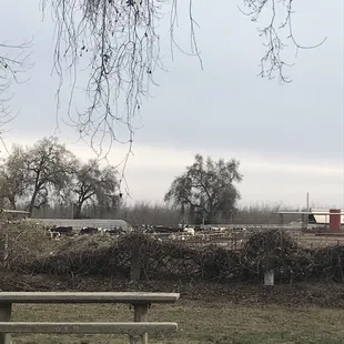 More views of Cutler Park- YELP couldn&apos;t locate the park for me to do its own review :(