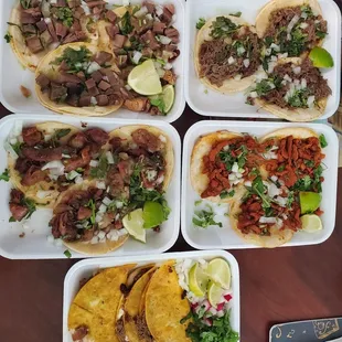 Birria, pastor, lengua, tripa, barbacoa. All amazing!!!