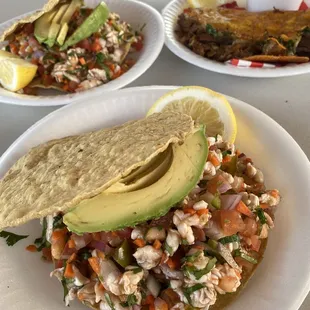 Ceviche &amp; Quesibirria