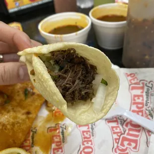 a hand holding a taco