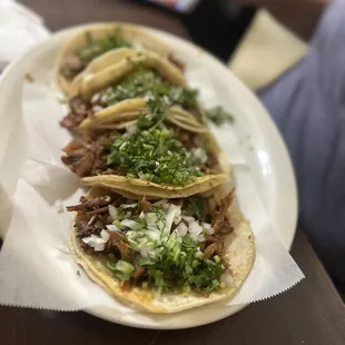Taqueria Tequila Jalisco
