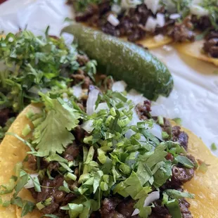 Mini Tacos