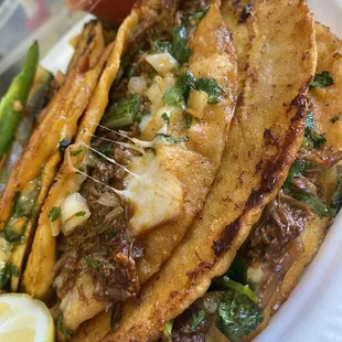 Quesabirrias looking good