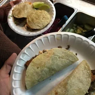 a person holding a plate of tacos