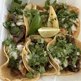 Barbacoa, chicken and carnitas tacos