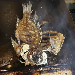 Tilapia cooked grilled