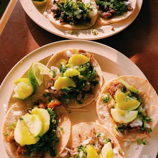 EVERY MEAT FLAVOR TACOS