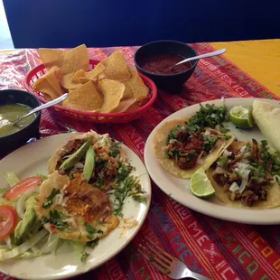 Honey, who shrunk my gordita?