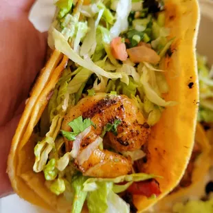 Shrimp Taco