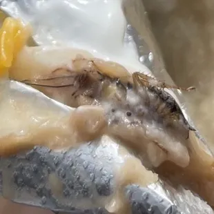 a spoon full of food