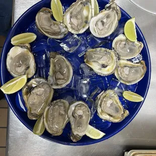 Oysters