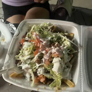 Carne Asada fries