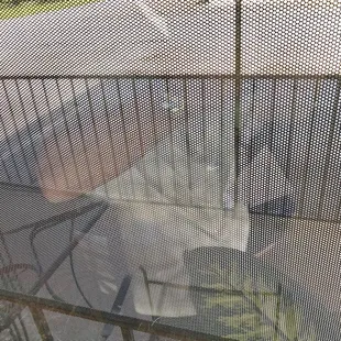 a cat in a cage
