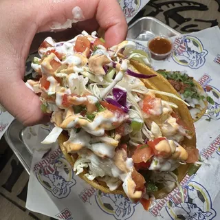 Shrimp Taco