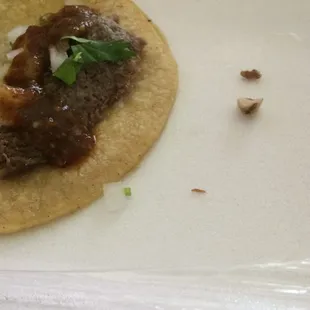 This tooth was on my taco just today