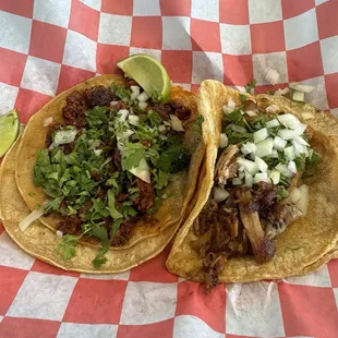 Carnitas and chorizo tacos